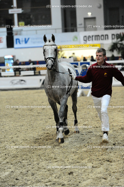 Kat+58+-+271_2179 | Björn Schroeder Pferdefotografie