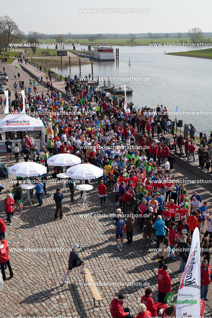 _MG_4301 | Willkommen im Bildershop des Tangermünder Elbdeichmarathons. Die Bilder wurden größtenteils mit Startnummern hinterlegt.  Bitte verwenden Sie die Suchfunktion (