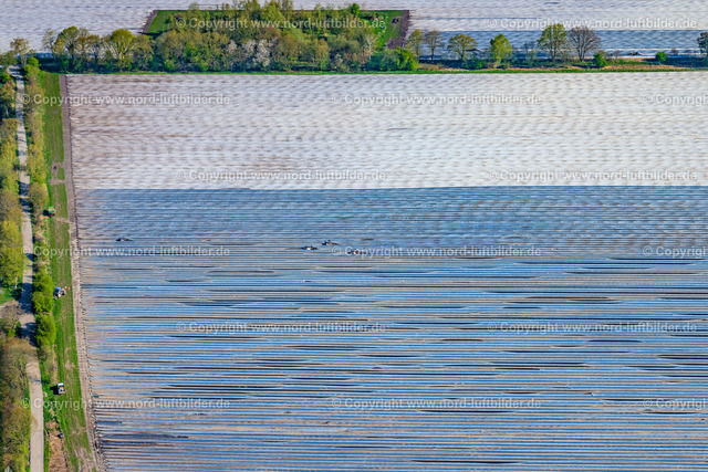 Dollern_Spargelernte_ELS_9478230422 | DOLLERN 23.04.2022 Reihen mit Spargel- Anbau auf Feld- Flächen in Dollern im Bundesland Niedersachsen, Deutschland. // Rows with asparagus growing on field surfaces in Dollern in the state Lower Saxony, Germany. Foto: Martin Elsen