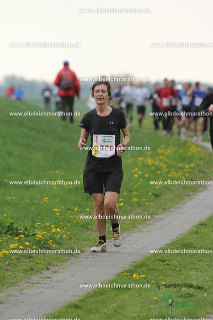 IMG_8704 | Willkommen im Bildershop des Tangermünder Elbdeichmarathons. Die Bilder wurden größtenteils mit Startnummern hinterlegt.  Bitte verwenden Sie die Suchfunktion ("Suche"-Button links oben). - Realisiert mit Pictrs.com