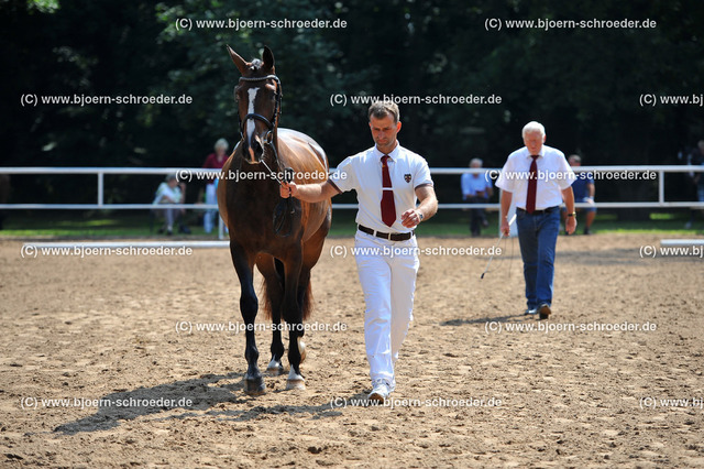 Kat_035_378_4015 | Björn Schroeder Pferdefotografie