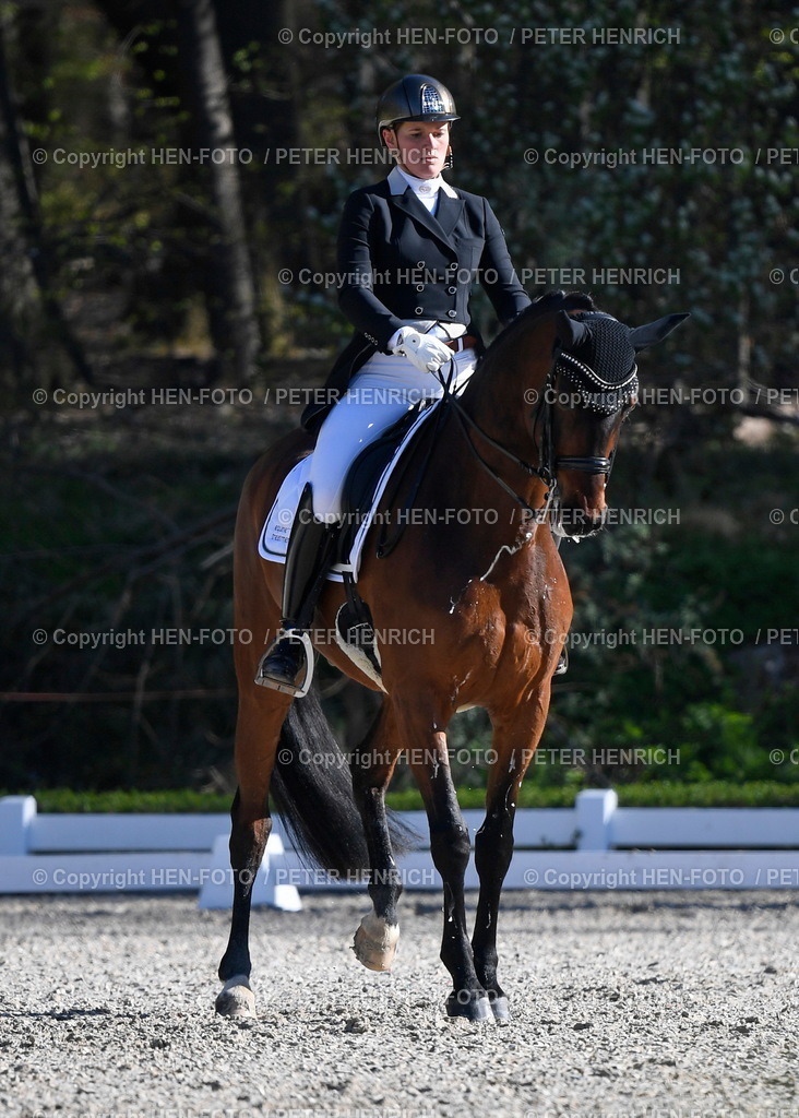 18.04.2022 Kranichstein Spring-Tour III Dressurturnier | 18.04.2022 Reiten Darmstadt-Kranichstein Spring-Tour III Prüfung 01 Dressurprüfung Klasse S*** 1054 Nina Kudernak auf Queolito vom RFV Götzenhain copyright HEN-FOTO Peter Henrich - Realizzato con Pictrs.com