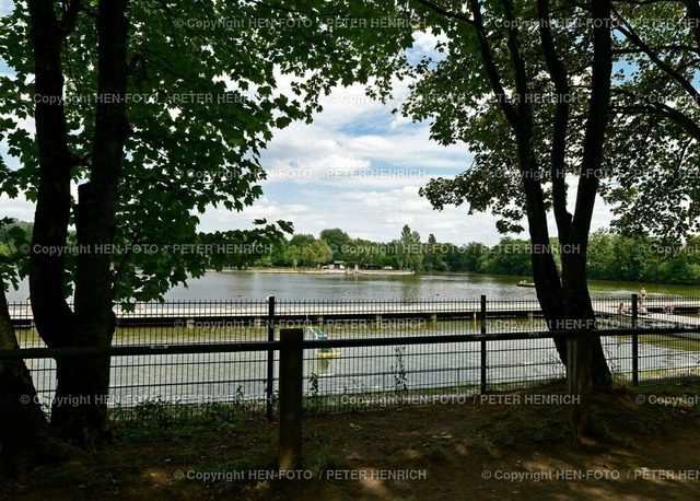 20220731-7039-badeverbot-HEN-FOTO | 31.07.2022 BLAUALGEN Chlorophyll Werte hoch - nur WARNHINWEIS - kein Badeverbot im Familienbad Großer Woog im Sommer 2022 mit Blick auf die Woogsinsel (Foto: Peter Henrich) - Realizzato con Pictrs.com