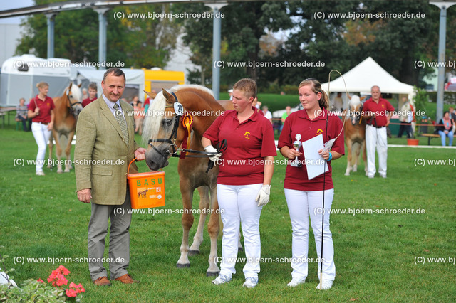 Kat_029_383_3367 | Björn Schroeder Pferdefotografie