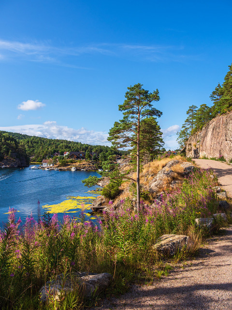 Landschaft an der Bucht Stølekilen bei Søgne in Norwegen | Landschaft an der Bucht Stølekilen bei Søgne in Norwegen.