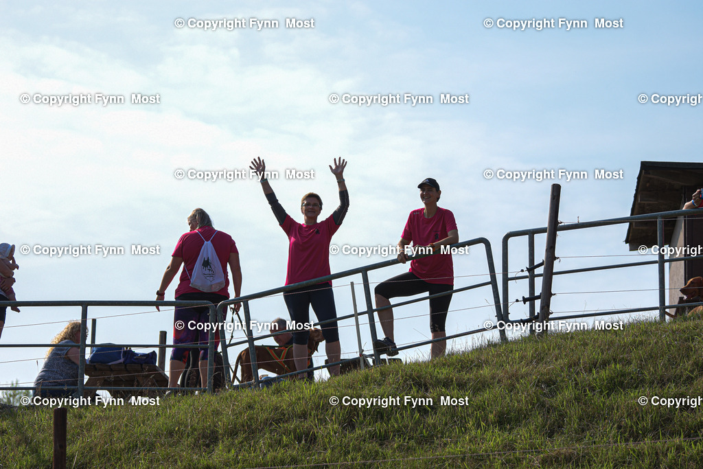 DSC_0070 | Hallo und herzlich Willkommen auf meiner Shop-Seite Fynn Most.

Ich wünsche Dir viel Spaß beim stöbern durch die Bilder, wenn Du Fragen hast oder Bilder vermisst, kannst du mir gerne eine Nachricht schreiben. - Realisiert mit Pictrs.com
