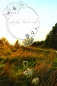 Bärenklau auf Wiese | only.this.little.world - Realisiert mit Pictrs.com