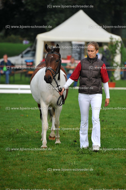 Kat_023_383_3013 | Björn Schroeder Pferdefotografie