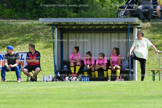 Liwodruck Carinthians Hornets vs. RW Rankweil 5.6.2022 | Spielerbank Carinthians Hornets, Headcoach Carinthians Hornets Martin Bodner, Sportlicher Leiter Carinthians Hornets Thomas Fian, Larissa Kassin, Julia Strahl, Alicia Morgenstern, Laura Reiter, Tormann Trainer Alexander Pichelkastner