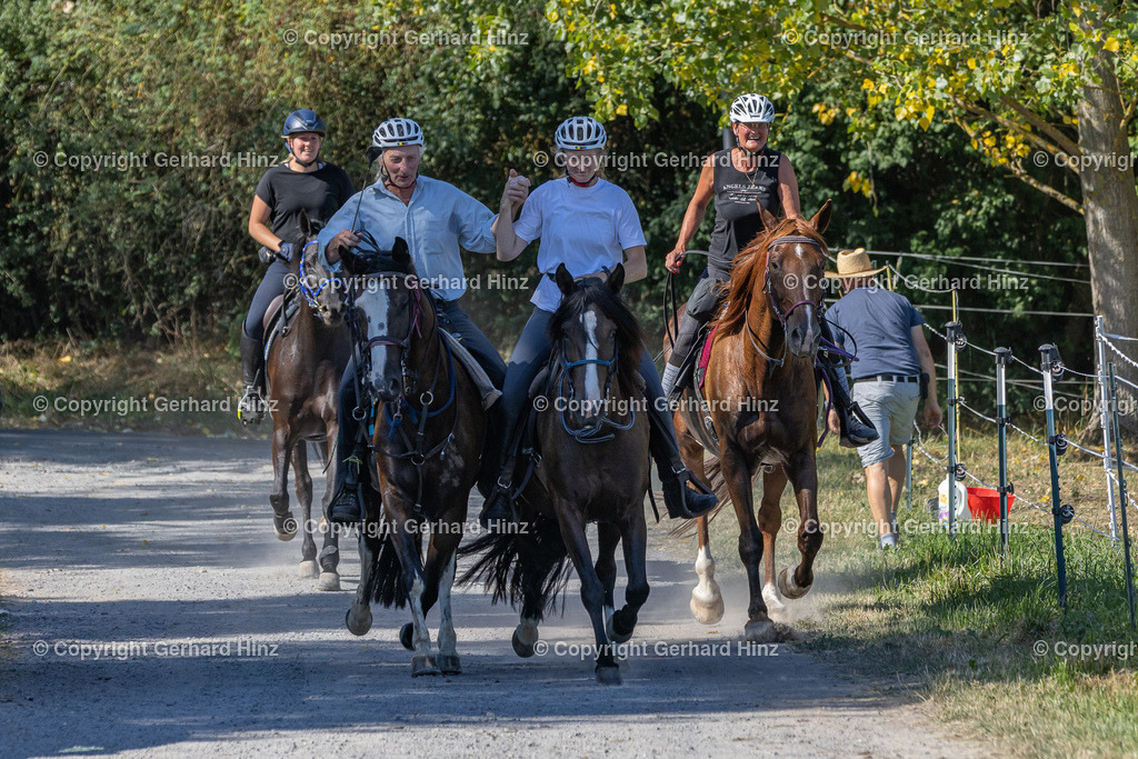 Equus Arabian Cup 2022-398 | DerGerd-Bildermacher - Realisiert mit Pictrs.com