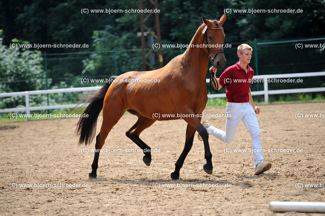 Kat_049_378_4514 | Björn Schroeder Pferdefotografie