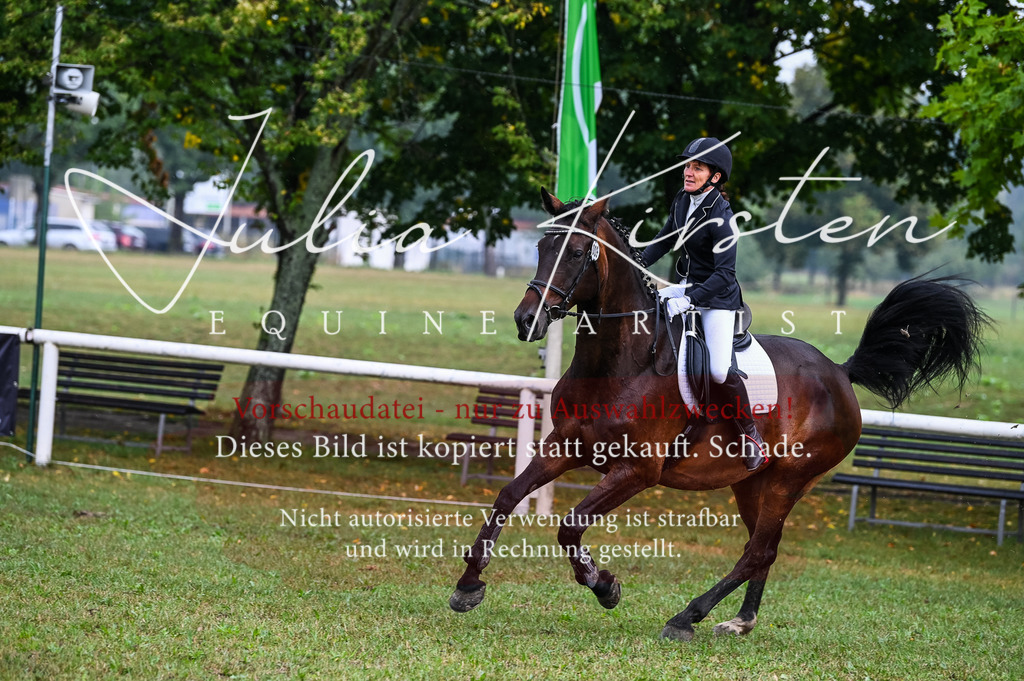 DSC_3186 | Pferde- und Turnierfotografie in Westsachsen. Pferdeportraits, Auftragszeichnungen und intuitive Kunst.