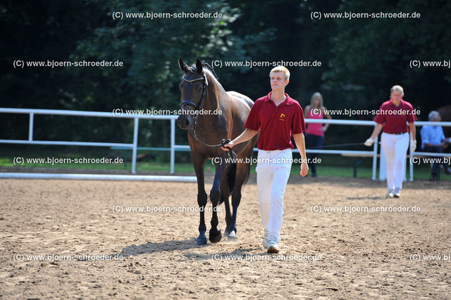 Kat_023_378_3853 | Björn Schroeder Pferdefotografie