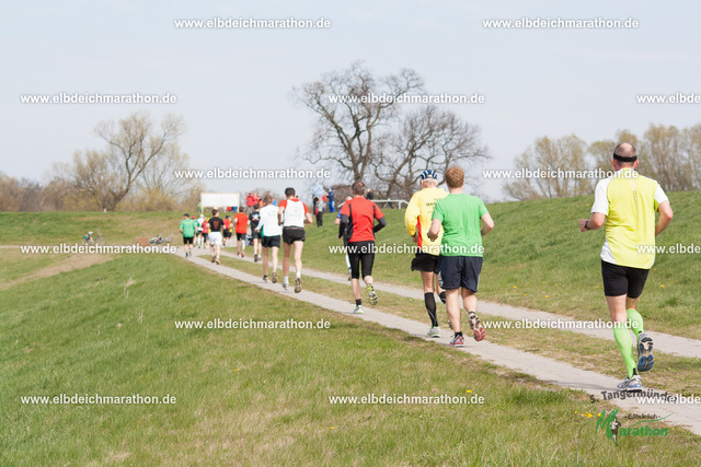 IMG_9645 | Willkommen im Bildershop des Tangermünder Elbdeichmarathons. Die Bilder wurden größtenteils mit Startnummern hinterlegt.  Bitte verwenden Sie die Suchfunktion ("Suche"-Button links oben). - Realizzato con Pictrs.com