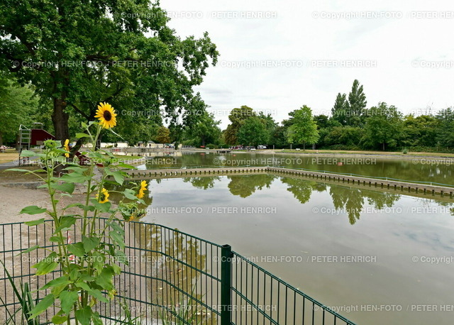 20220731-6956-badeverbot-HEN-FOTO | 31.07.2022 BLAUALGEN Chlorophyll Werte zu hoch - BADEVERBOT im Naturbad Arheilger Mühlchen Sommer 2022 Warnhinweis bei Kontakt mit den Bakterien kann es zu Hautreizungen Übelkeit Fieber kommen Hessisches Landesamt für Naturschutz Umwelt Geologie (Foto: Peter Henrich) - Realized with Pictrs.com