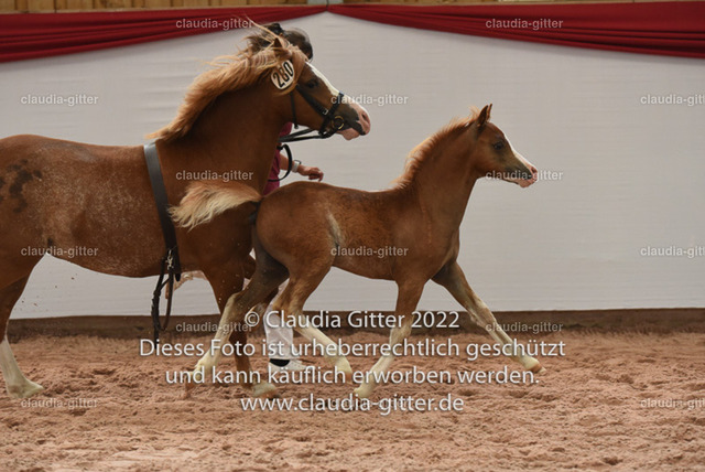 750_5489 | Claudia Gitter - Fotografin - Realisiert mit Pictrs.com