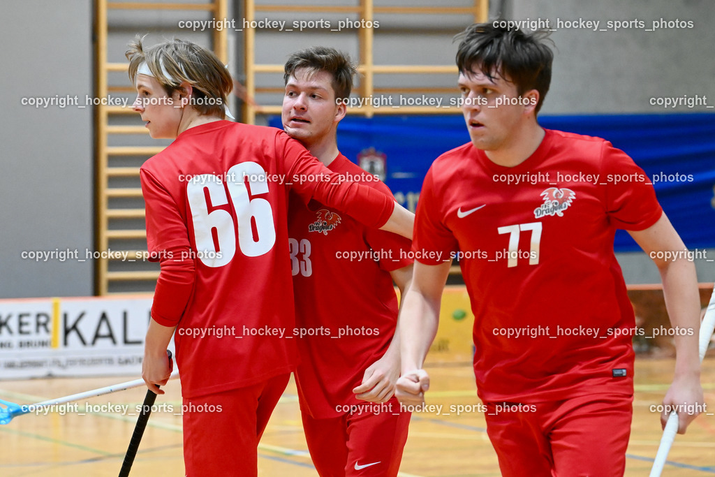 FCB Dragons vs. TVZ Wikings 19.3.2022 | Niklas Buchelt, Anton Rauchmann, Alex Egenhofer