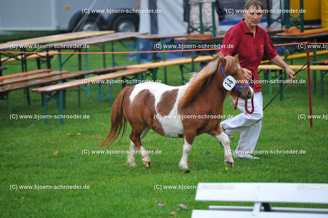 Kat_014_383_2816 | Björn Schroeder Pferdefotografie