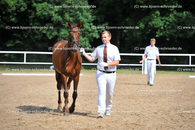 Kat_091_378_5312 | Björn Schroeder Pferdefotografie