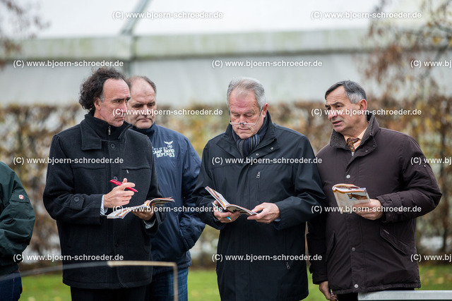 141114_Neustadt_088 | Björn Schroeder Pferdefotografie