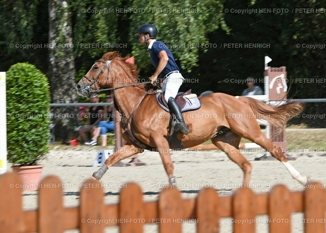 20220813-5111-reiten-traisa-HEN-FOTO | 13.08.2022 Reitturnier bei RuF Traisa Sommerturnier 2022 Springprüfung Klasse M* Mitziehaufnahme Andrea Marchese v. RG Büttelborn auf Moonlight van het Beetjen (Foto Peter Henrich) - Realizzato con Pictrs.com